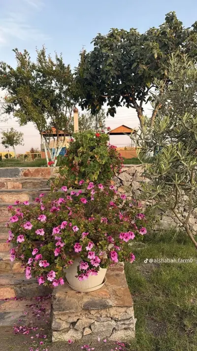 مزرعة الشعبة